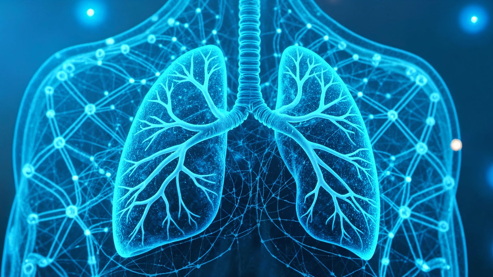 Ademhaling en zuurstof: De basisprincipes van hoe ons lichaam zuurstof gebruikt.