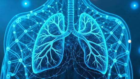 Ademhaling en zuurstof: De basisprincipes van hoe ons lichaam zuurstof gebruikt.