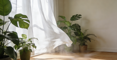 Binnenlucht en ademcomfort – waarom je huis zo belangrijk is voor een fijne ademhaling